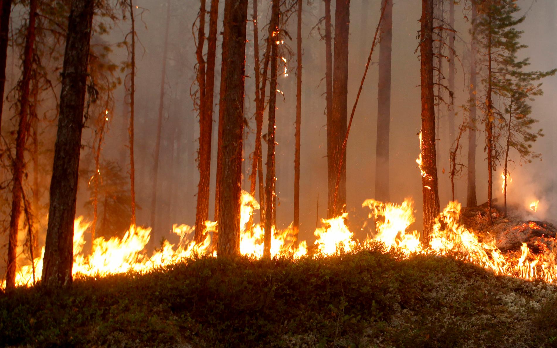Vid skogsbranden i Bratteröd ryckte lantbrukare in för att hjälpa till med släckningsarbetet, med sina gödselspridare. (Arkivbild.)