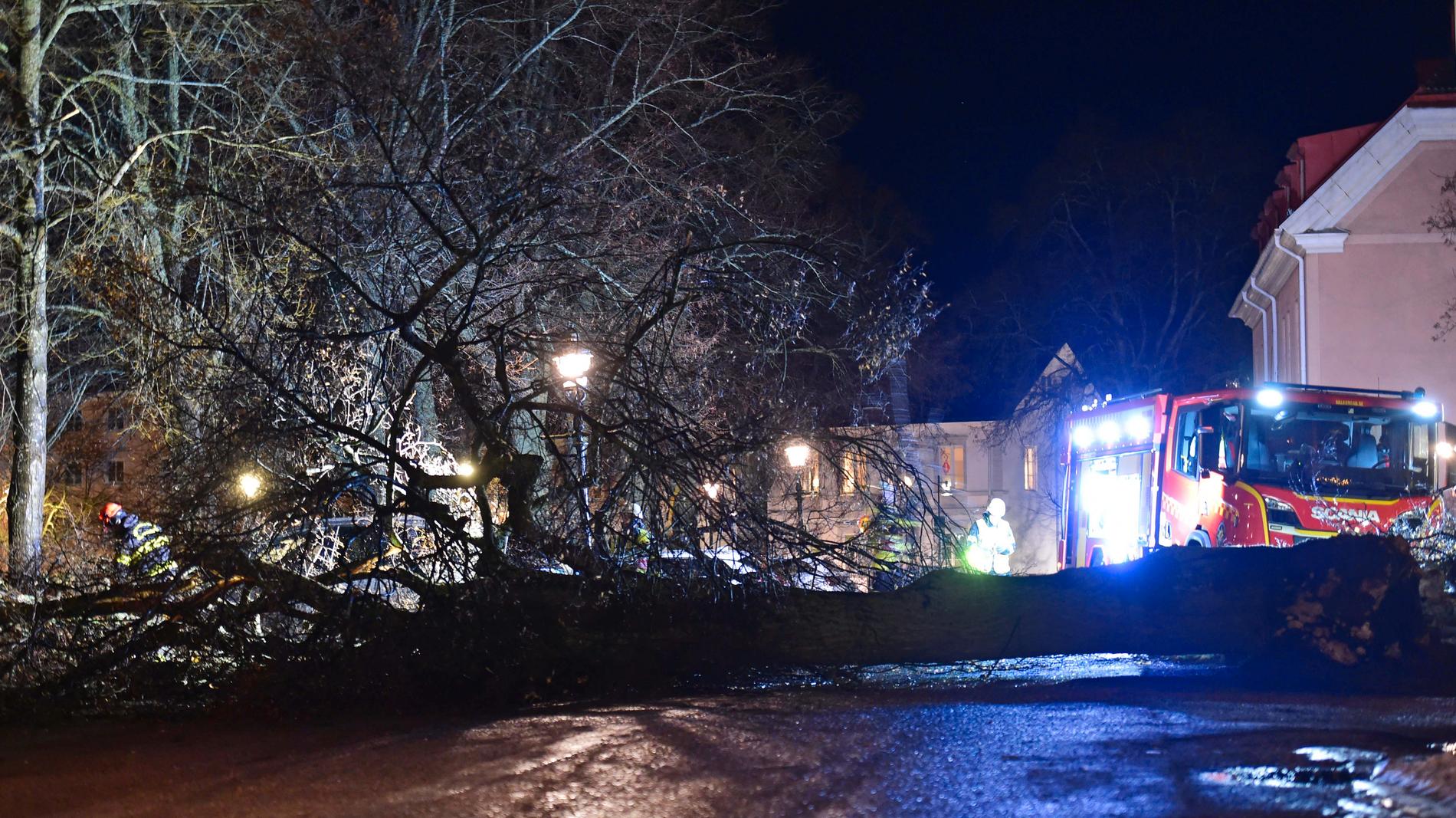 Ett träd har fallit ned över Östra Promenaden i Nyköping.