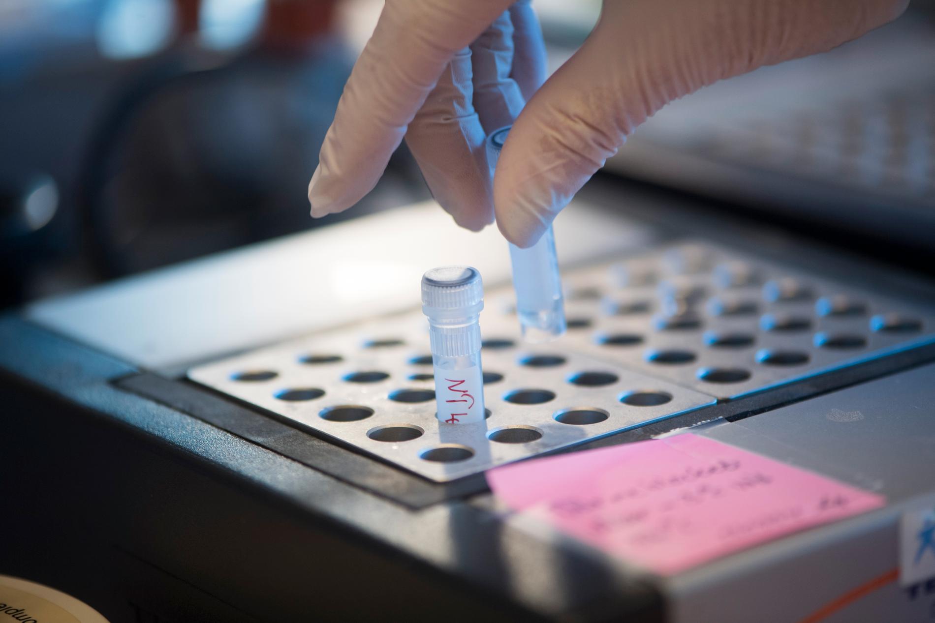 I dagsläget finns inga antikroppstester som kan rekommenderas till allmänheten, enligt Folkhälsomyndigheten. Trots det forsätter vårdcentralen Hedda Care att erbjuda sådana tester. Arkivbild