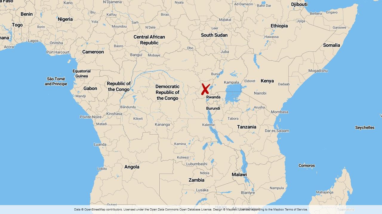 Extremistgruppen ADF (Allierade demokratiska styrkorna) är aktiv i östra Kongo-Kinshasa.