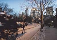 Central Park – sagolikt vacker på vintern – är Fredrik Virtanens favoritplats i ”The Big Apple”.