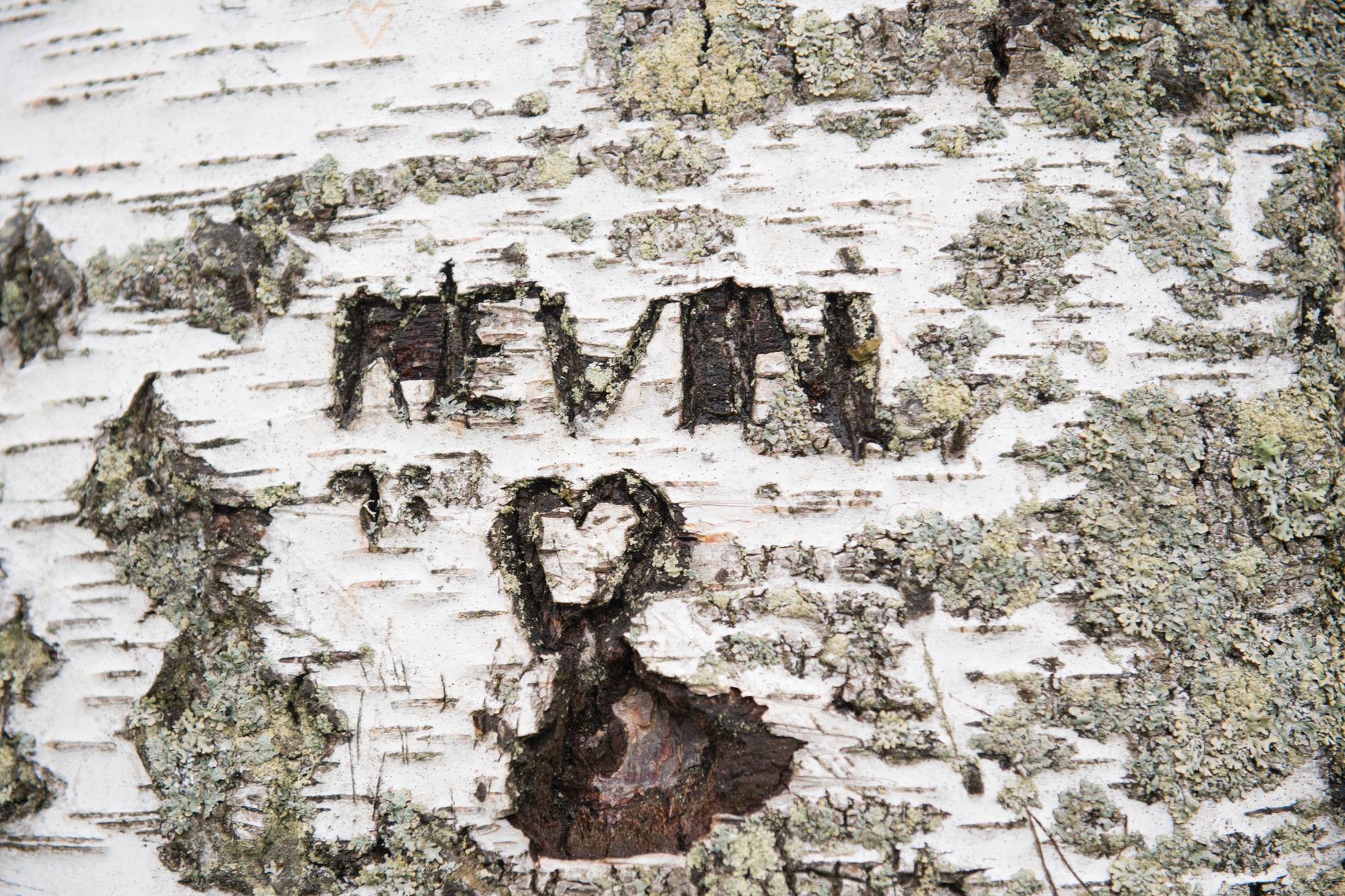 På en björk står namnet Kevin inristat. Platsen där ett barn mördades för tjugo år sedan.