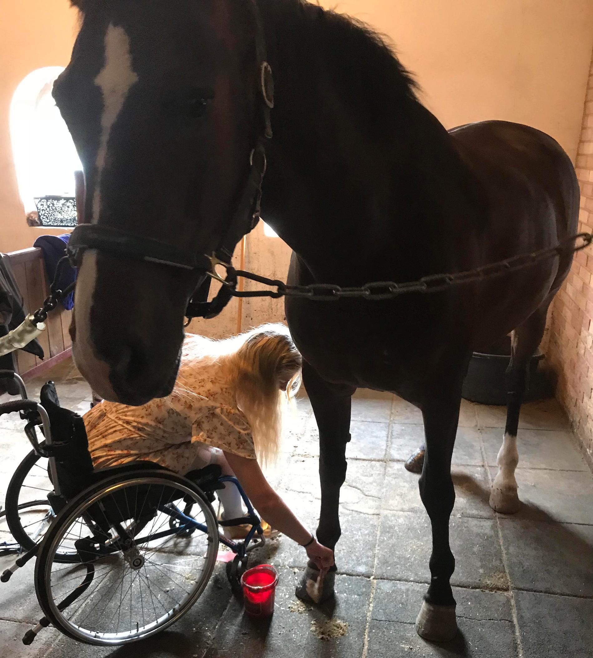 Johanna Forssell vill tillbringa mer tid med hästarna i stallet. 