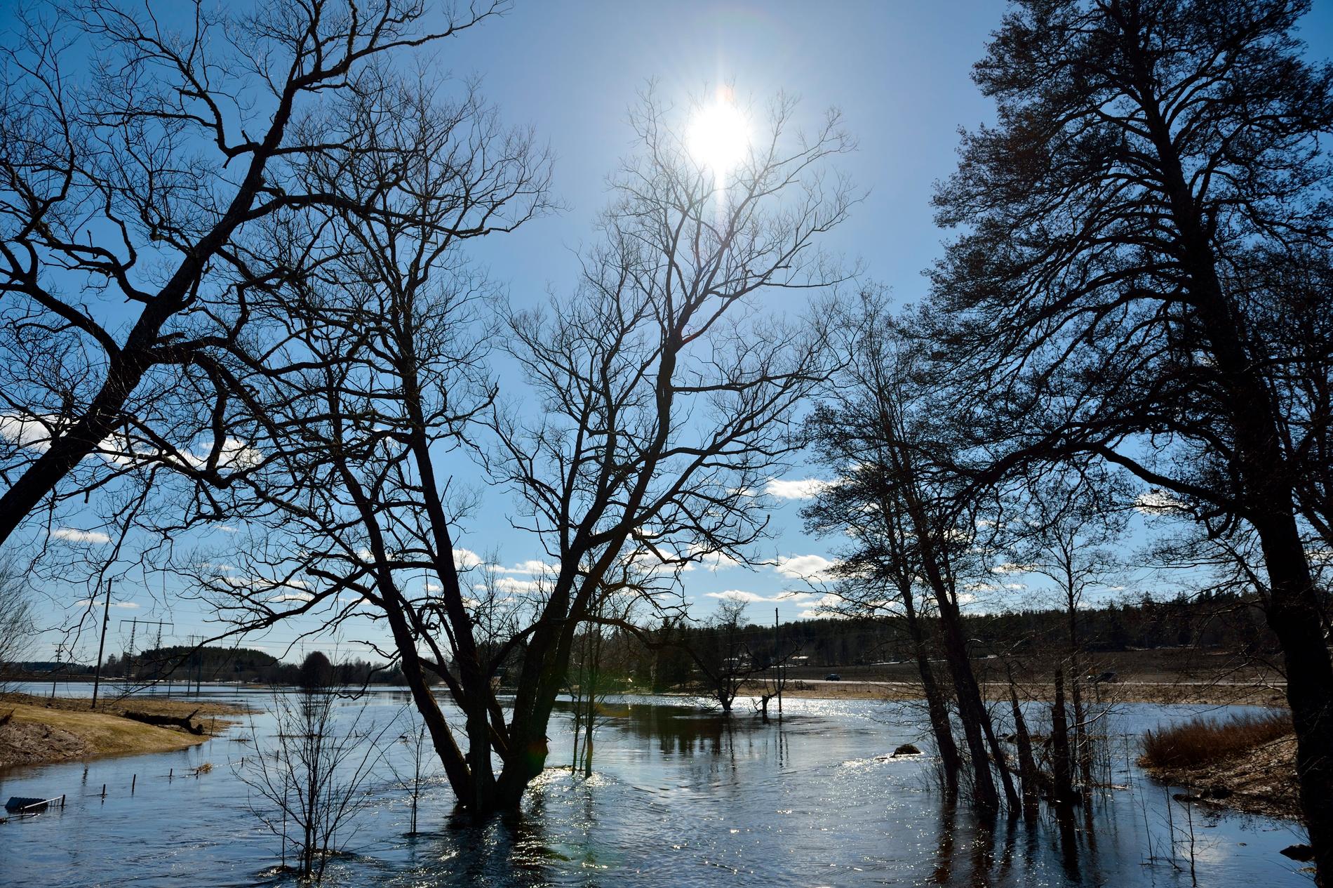 Arkivbild från en tidigare översvämning, här utanför Tierp i norra Uppland.
