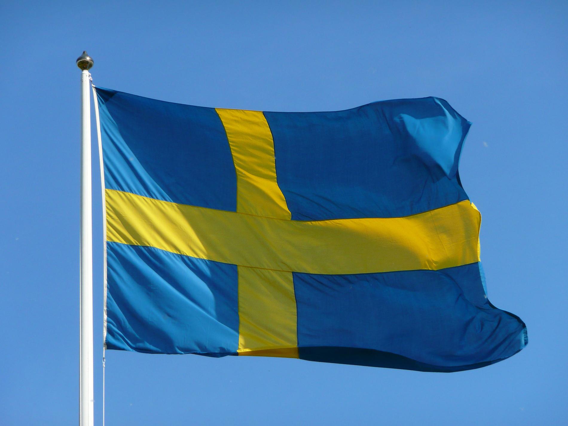 I år har det blivit lag på att varje kommun en gång per år måste anordna en medborgarskapsceremoni för att högtidlighålla nya svenska medborgare och markera medborgarskapets betydelse.