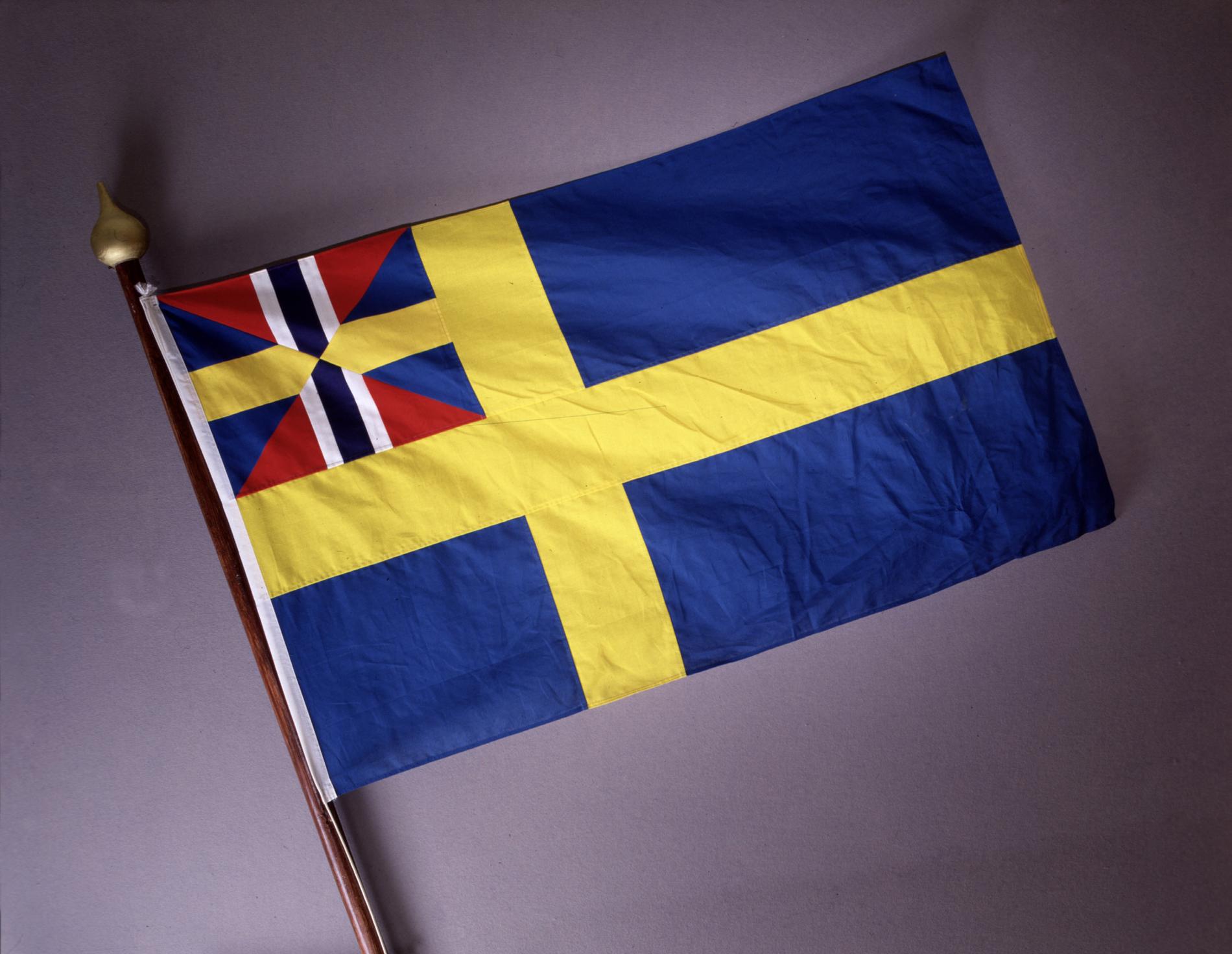 ”Plötsligt framstår Sverige som Gökboet”