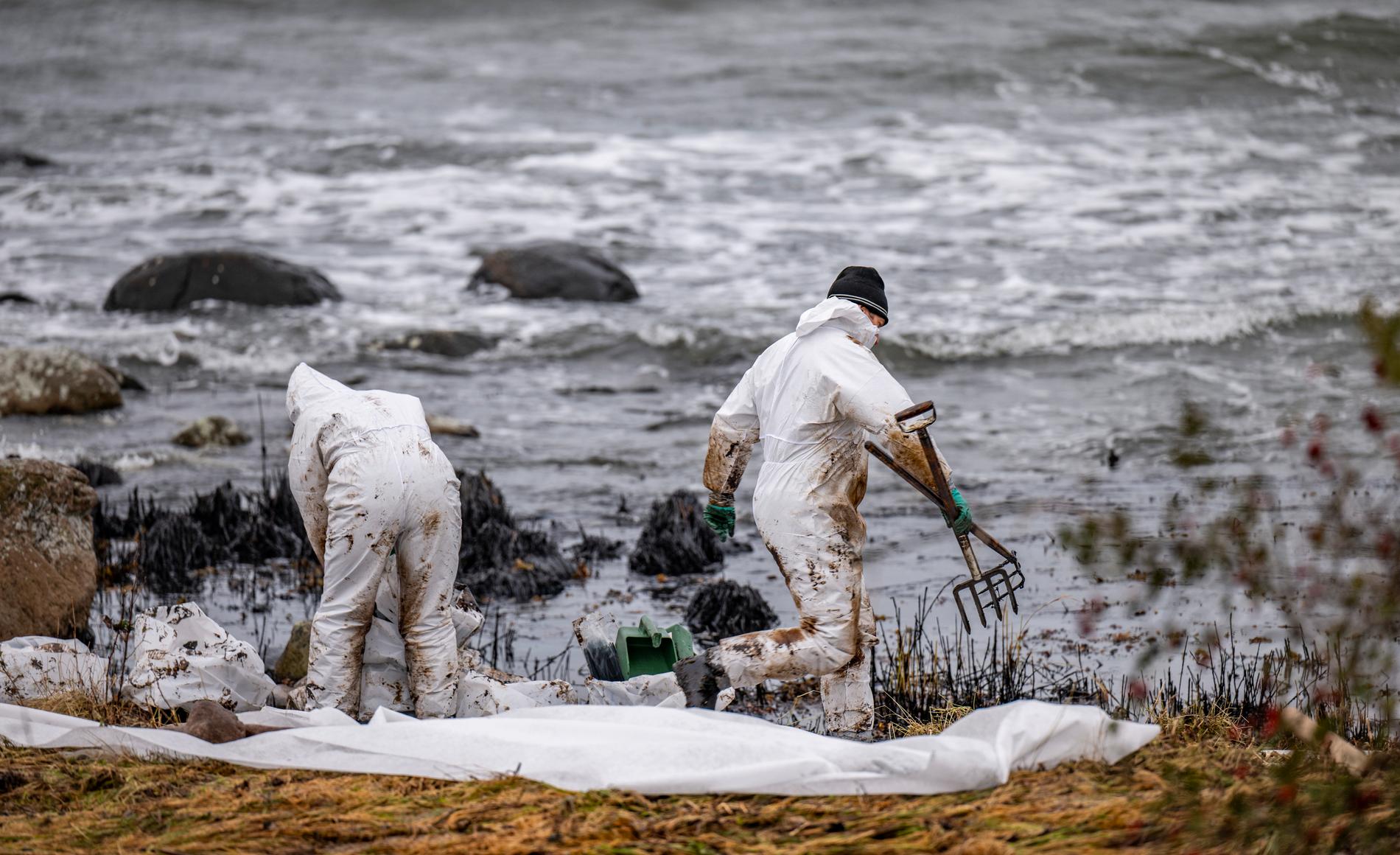Personal från Kustbevakningen och Sölvesborgs kommun sanerar olja vid naturreservatet Spraglehall utanför Hörvik efter oljeutsläppet.