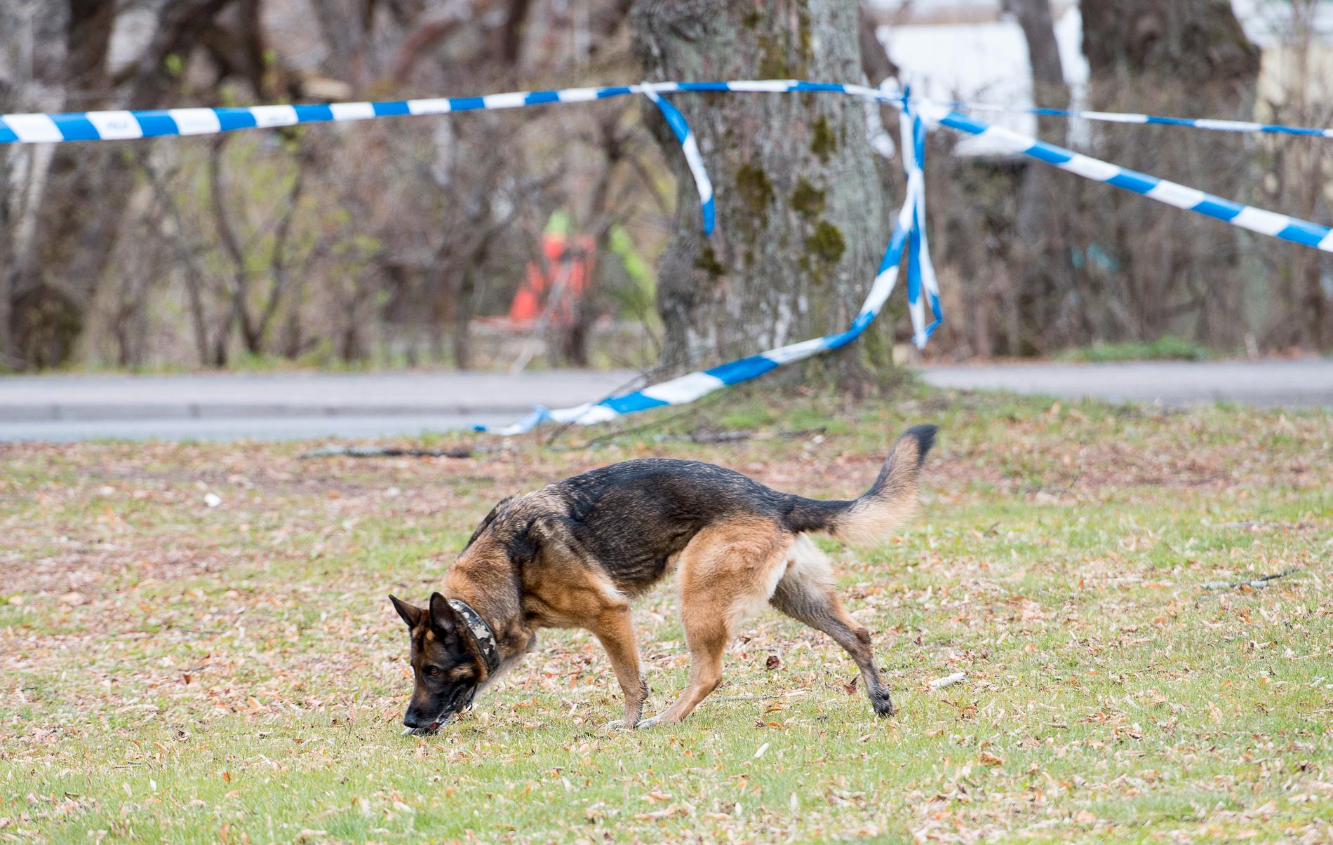 En polishund, dock inte den på bilden, bet två misstänkta tjuvar efter att ha spårat dem, skriver SVT Sörmland. Arkivbild.