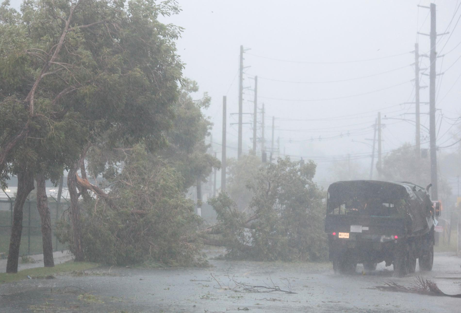 Militärer passerad omkullblåsta träd i Fajado, Puerto Rico.