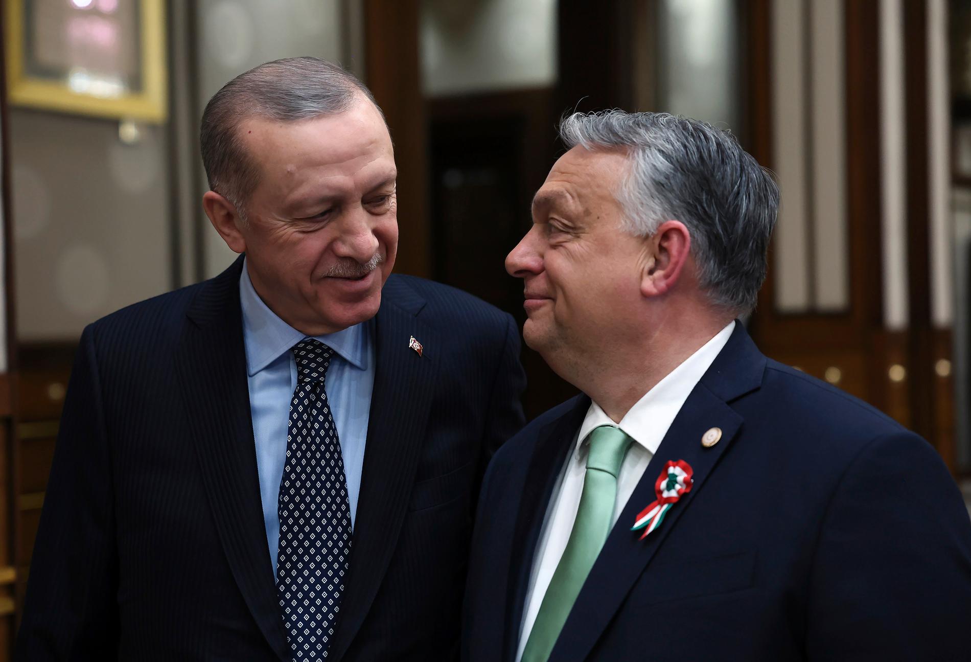 Erdogan och Orbán.