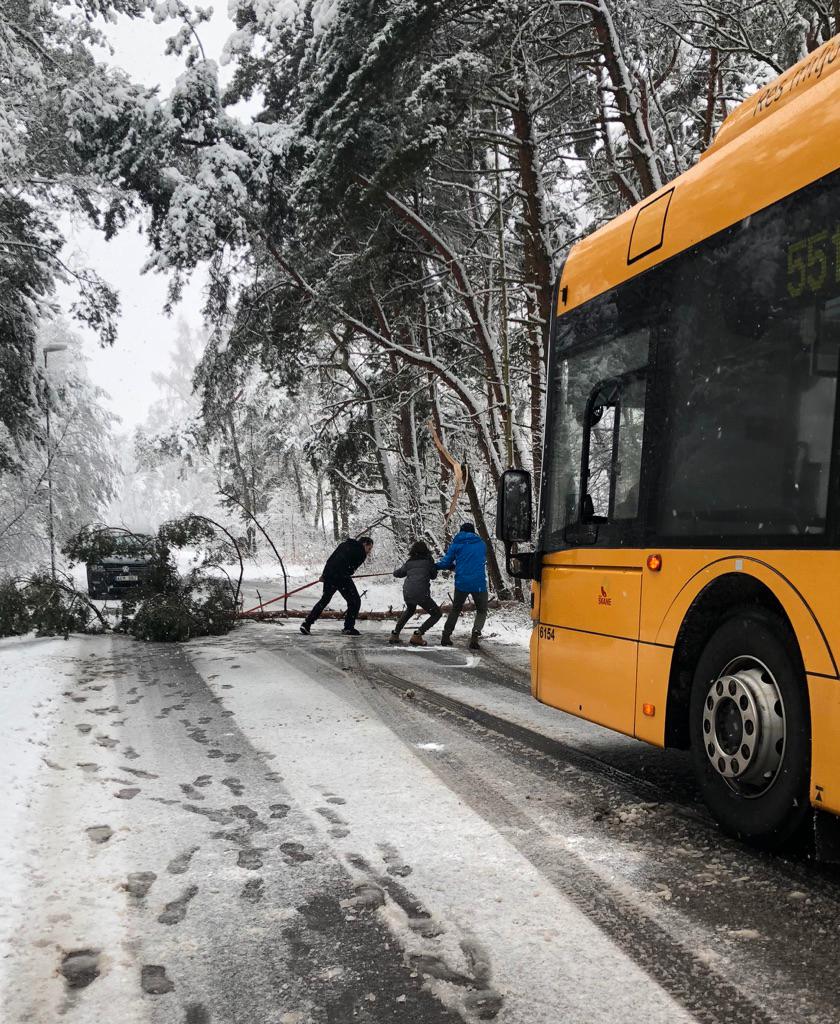 På Österlen hjälptes busschaufför och passagerare åt att flytta ett träd som fallit över vägen. 