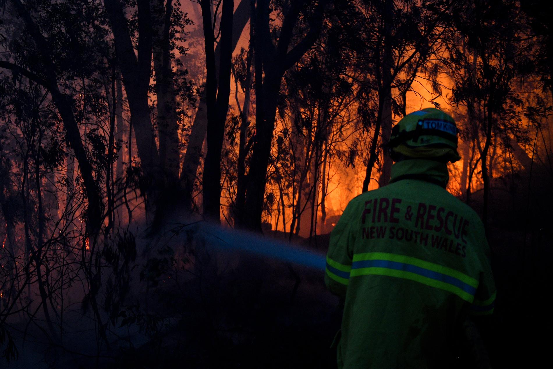 Arkivbild från en skogsbrand i Australien i början av november.