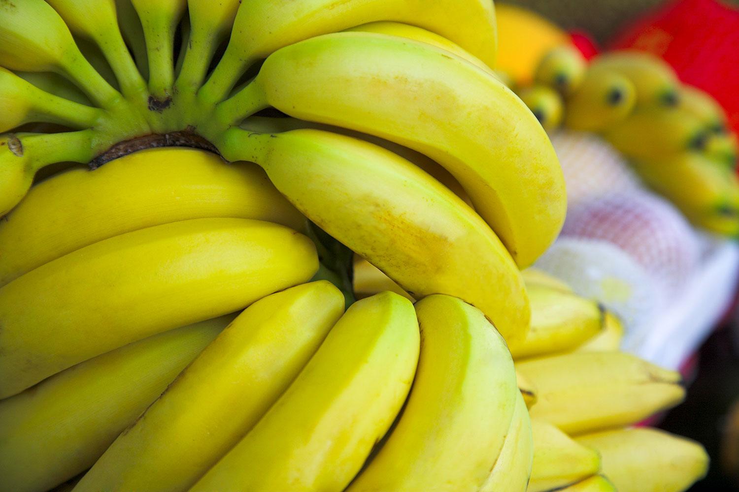 En ny undersökning av de vanligaste banansorterna visar att flera gifter finns i fruktköttet på bananerna.