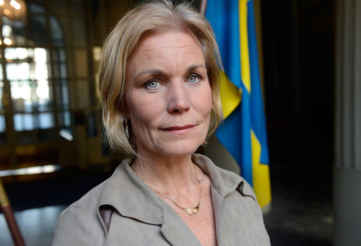 Dåvarande biståndsminister Gunilla Carlsson (M) skrev i oktober 2007 ett brev till Eurasia Foundation där hon å Sidas och Sveriges vägnar utlovade ett bidrag på motsvarande 23 miljoner kronor för tre år till organisationen.