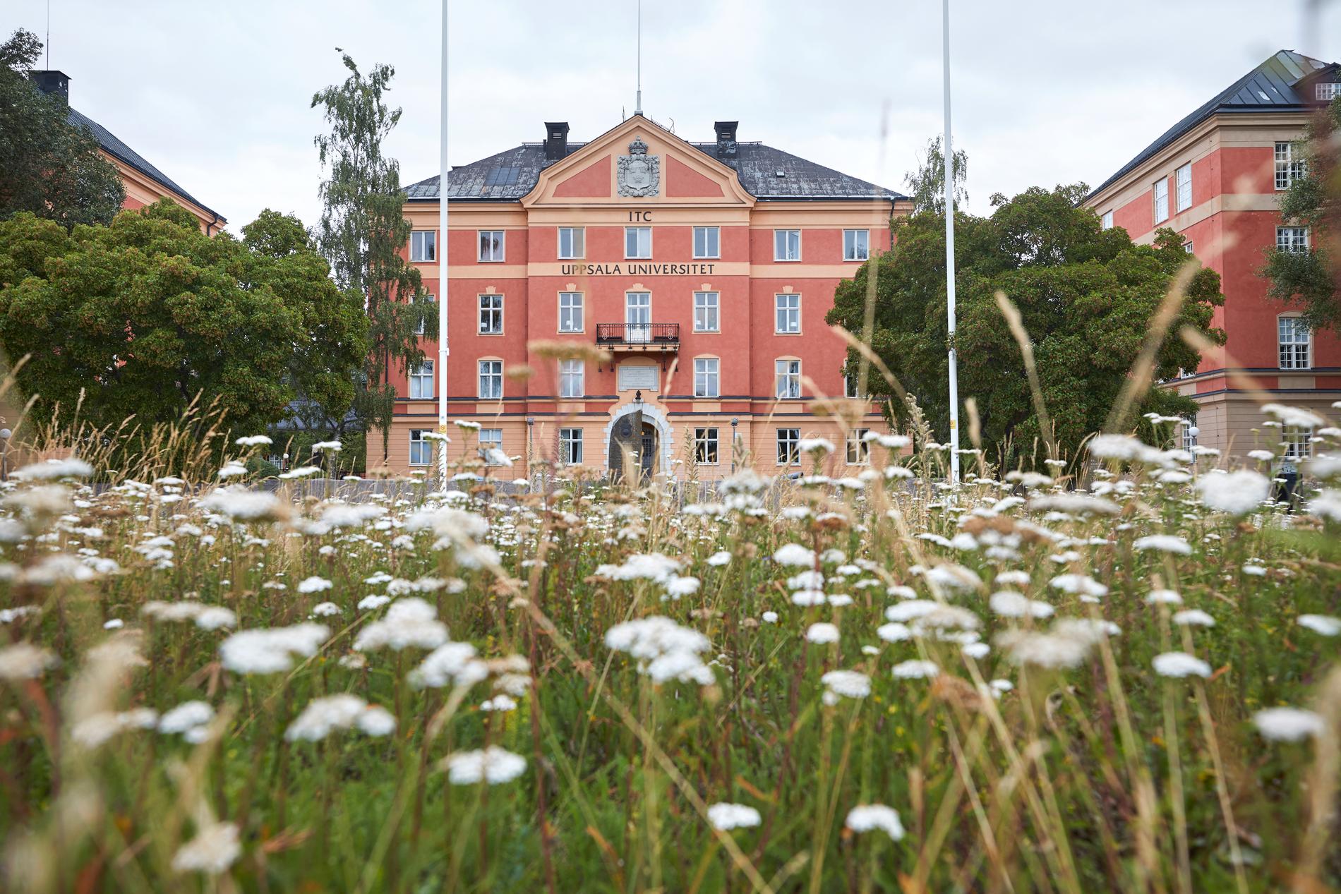 Anmälningar om fusk har skjutit i höjden på Uppsala universitet.