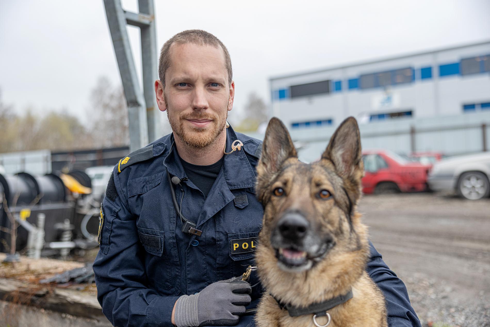 Jimmy Larsson och schäfern Lundy jobbar mot organiserad brottslighet i Eskilstuna. 