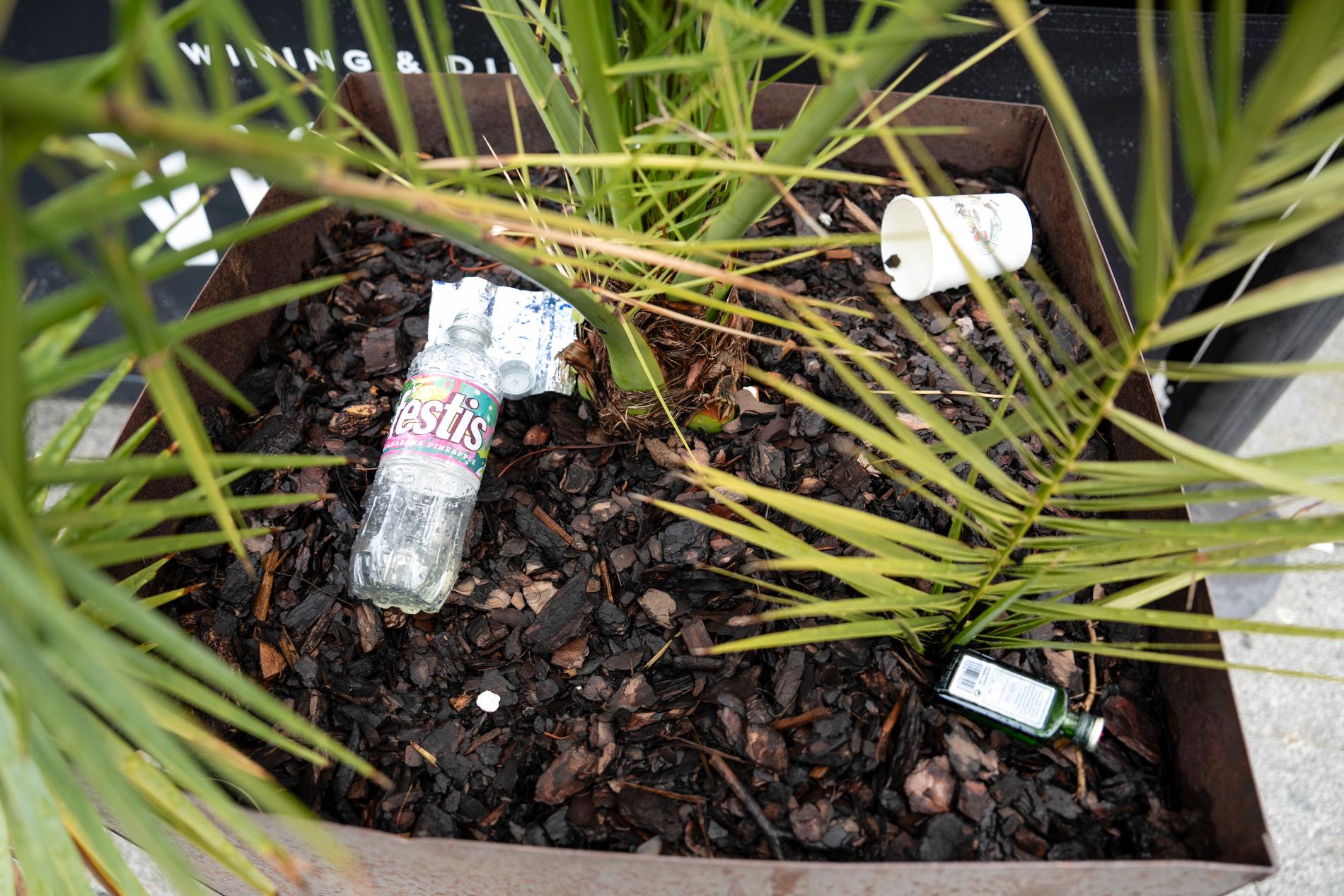 Under en växt i Stadsparken finns pantflaskor och glasflaskor. 
