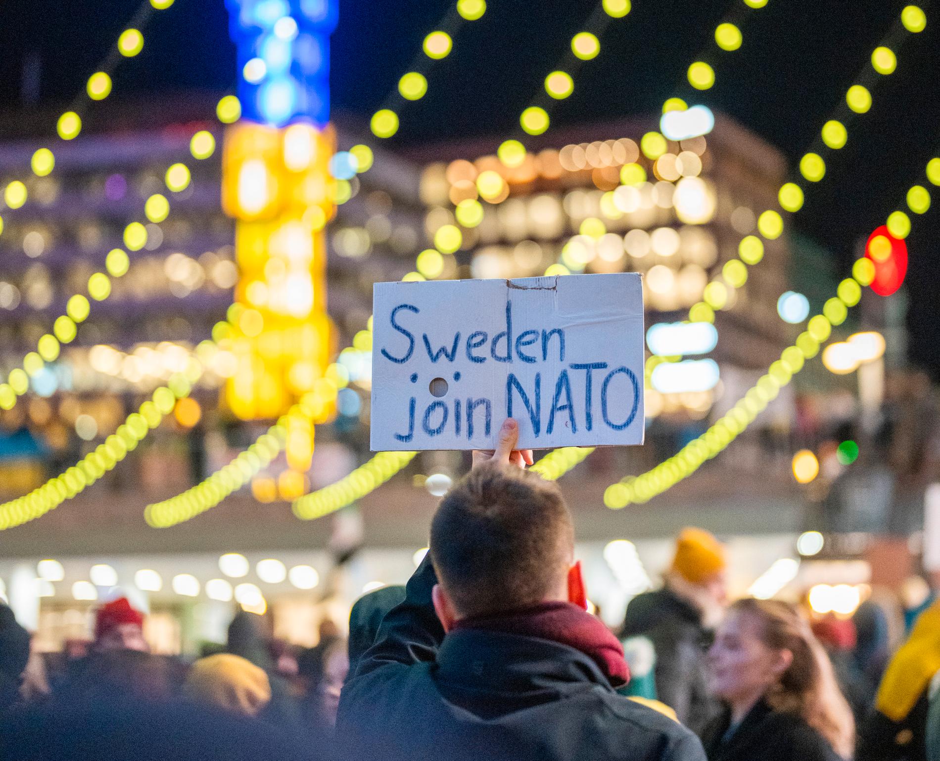 ”Nu när Ryssland gått in så svänger opinionen i Sverige till en mer positiv inställning”, säger Karin Nelsson på Aftonbladet/Demoskop