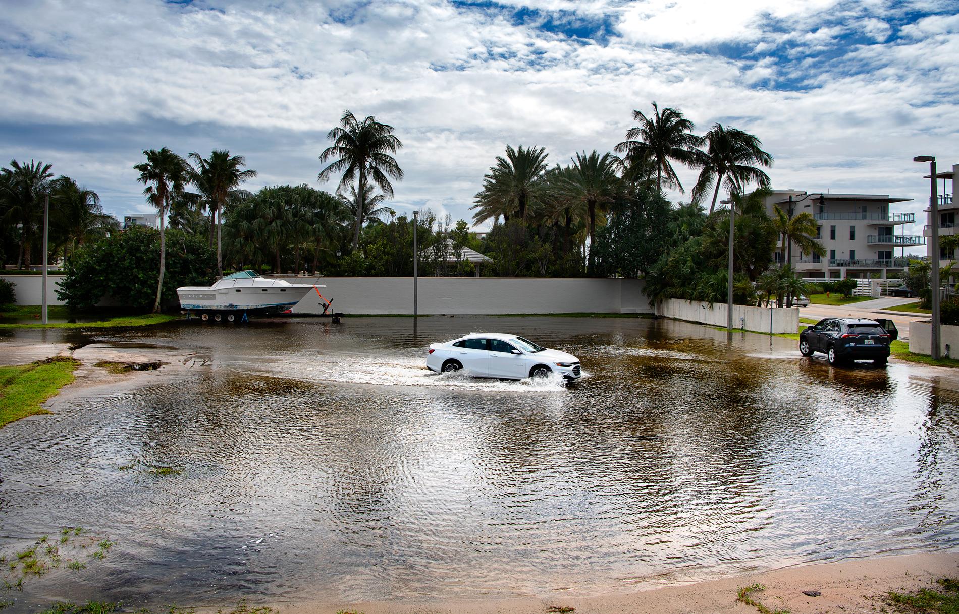 Florida är den delstat som drabbas värst av klimatpåverkan. Vattennivåerna stiger, erosion och orkaner kan göra delar av södra Florida obeboeligt inom 20-30 år. Vägarna i norra Miami Bach översvämmas vid King tide, det högsta tidvattnet.