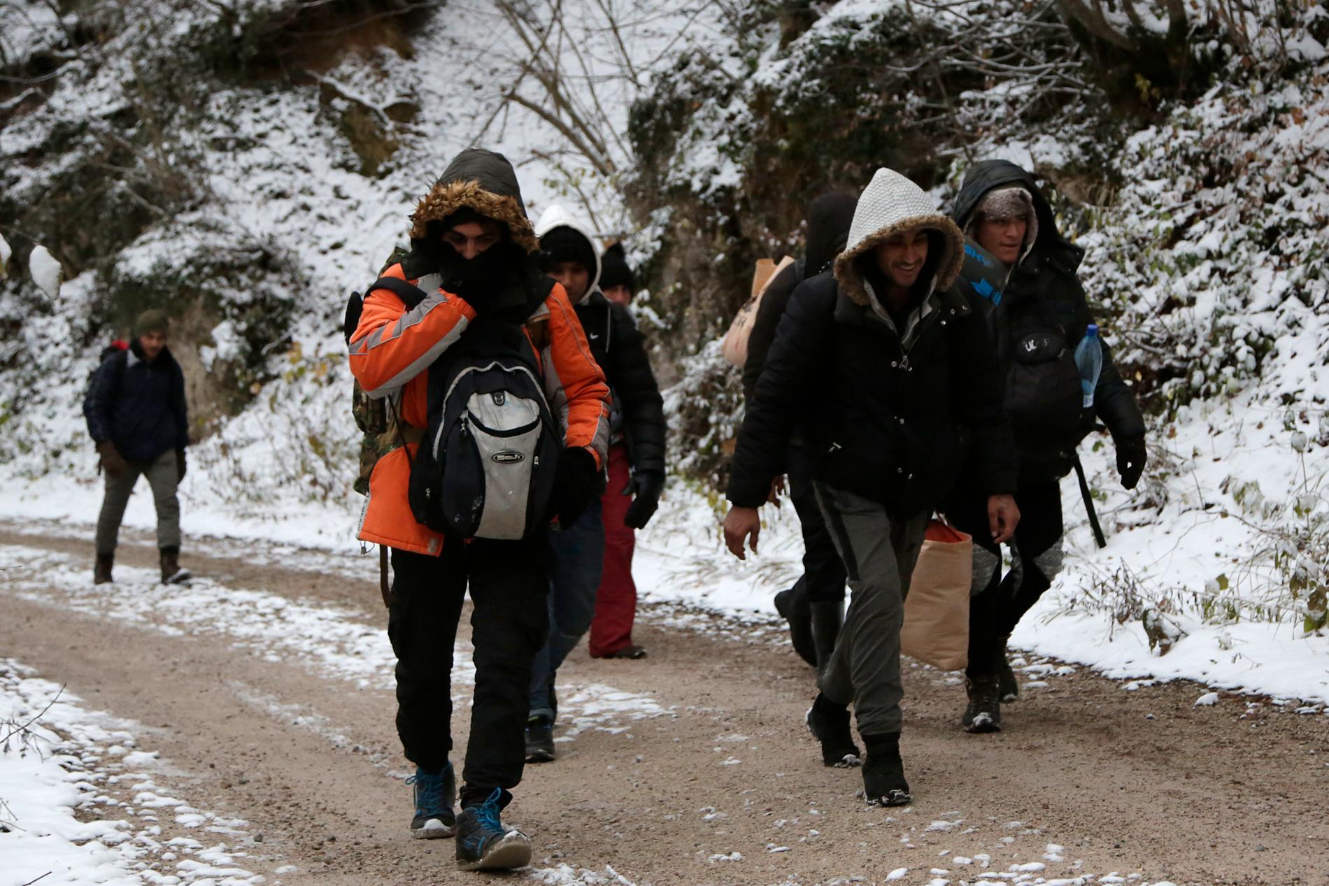 En grupp migranter i det bosniska bergsområdet Pljesevica på väg mot Kroatien.