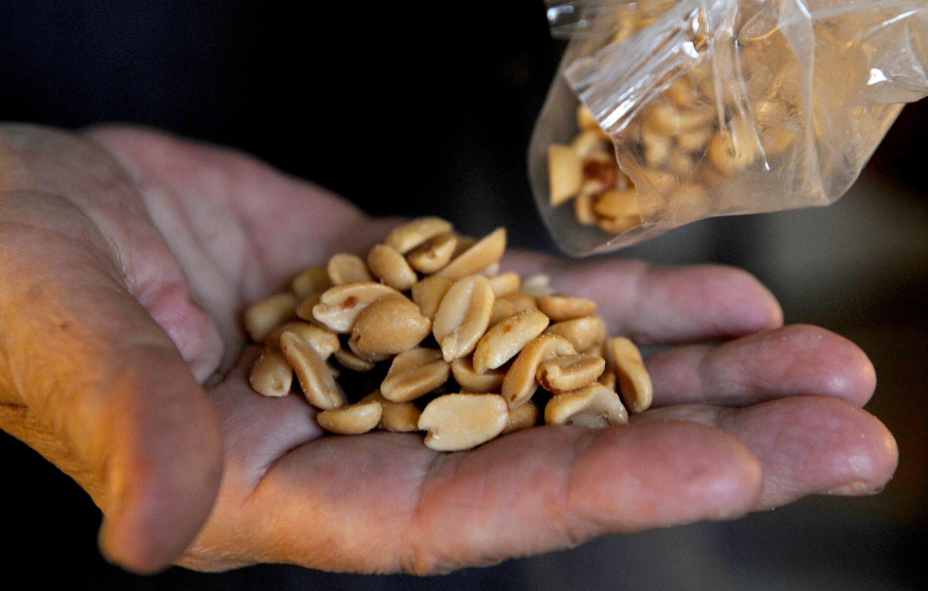 Jordnötter kan framkalla svåra allergiska reaktioner hos vissa – om man äter dem. 