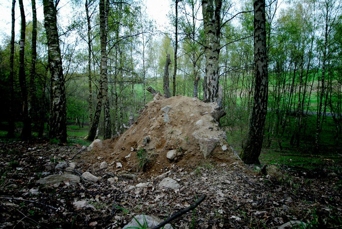 Hösten 2003 gjorde svampplockare ett fasansfullt fynd i  Torup i Skåne – ett kranium i en svart sopsäck.