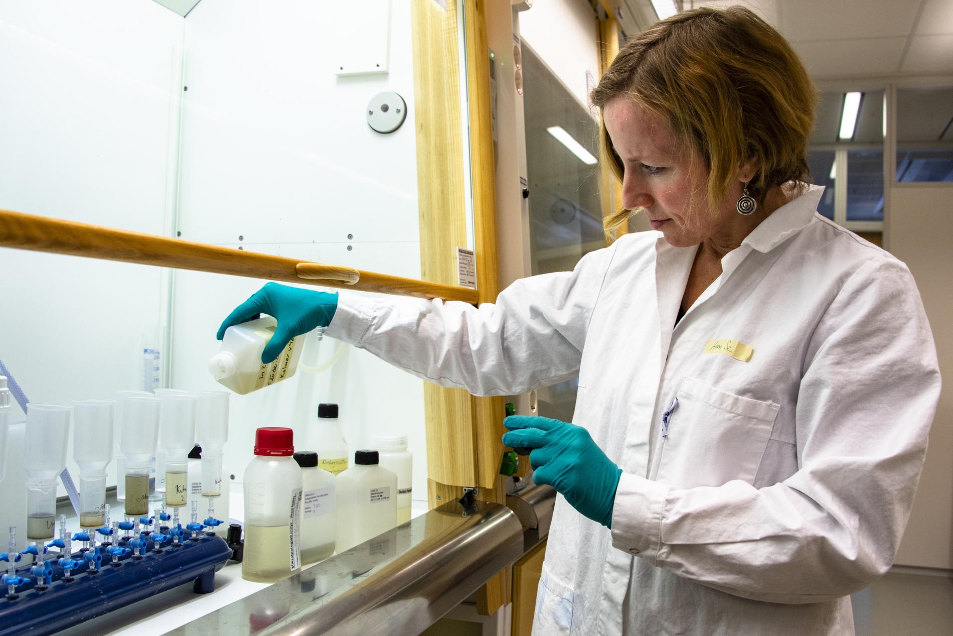 Anna Szekely, miljömikrobiolog på Sveriges Lantbruksuniversitet i Uppsala letar smitta i avloppsvatten. Analyser av avloppsvatten från reningsverk runt om i landet har varit ett viktigt verktyg i att kartlägga smittspridningen av coronaviruset under pandemin.