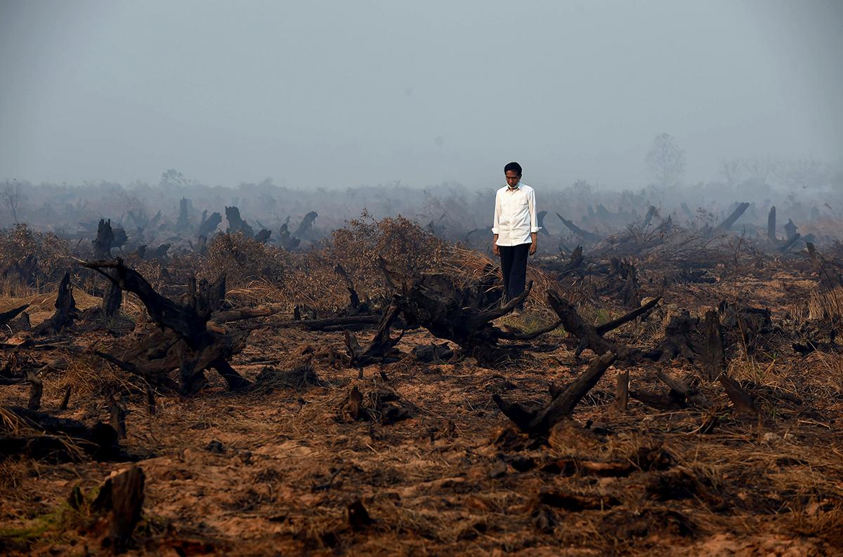 Banjar Baru, Indonesien: Indonesiens president Joko Widodo besökte ett eldhärjat område på ön Borneo. Flera bränder har drabbat sydöstra Asien på grund av företag som verkat illegalt i området.