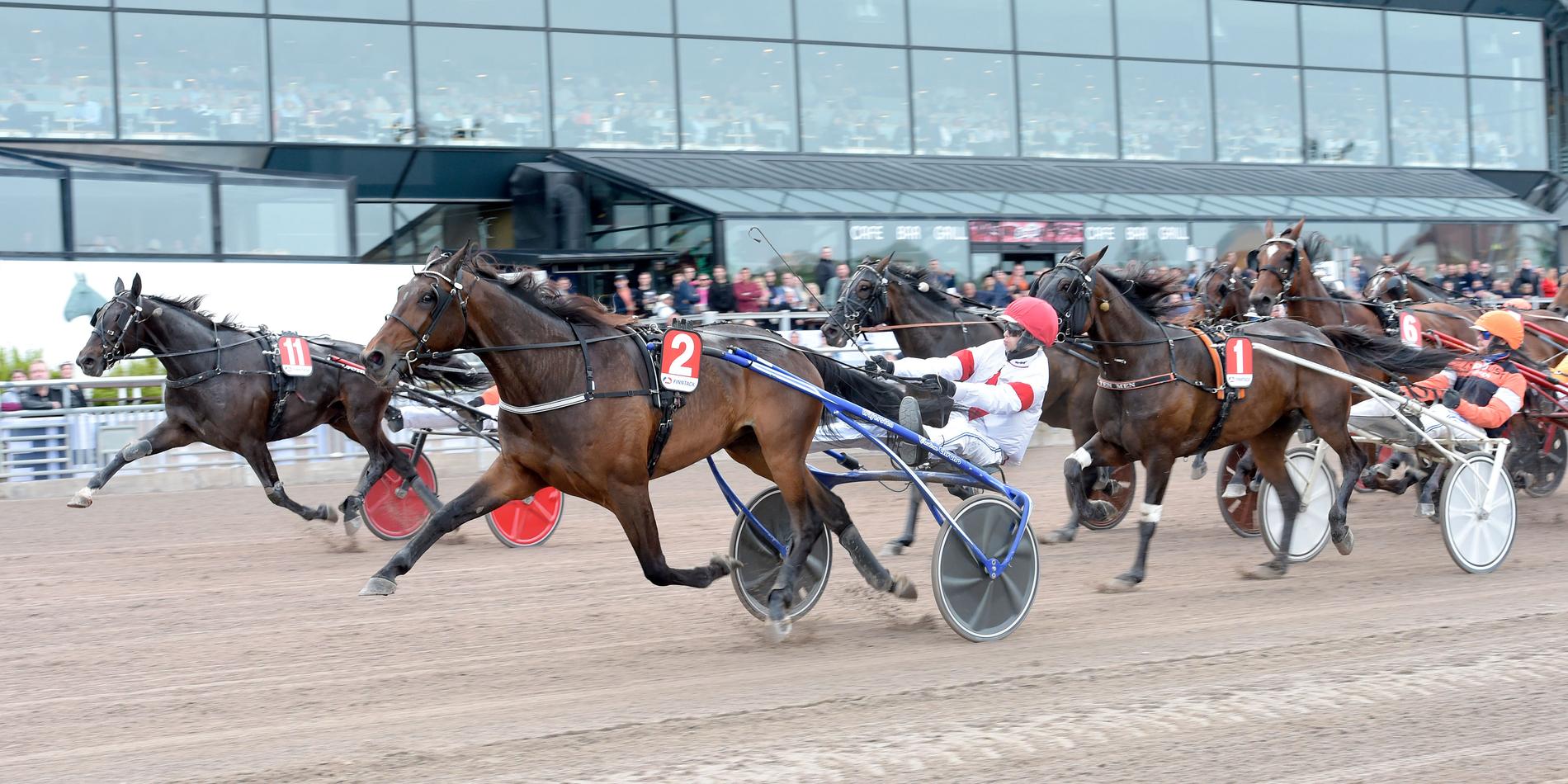 Daniel Wäjerstens Gooner är en av de hästar som utvecklats rejält under året. 