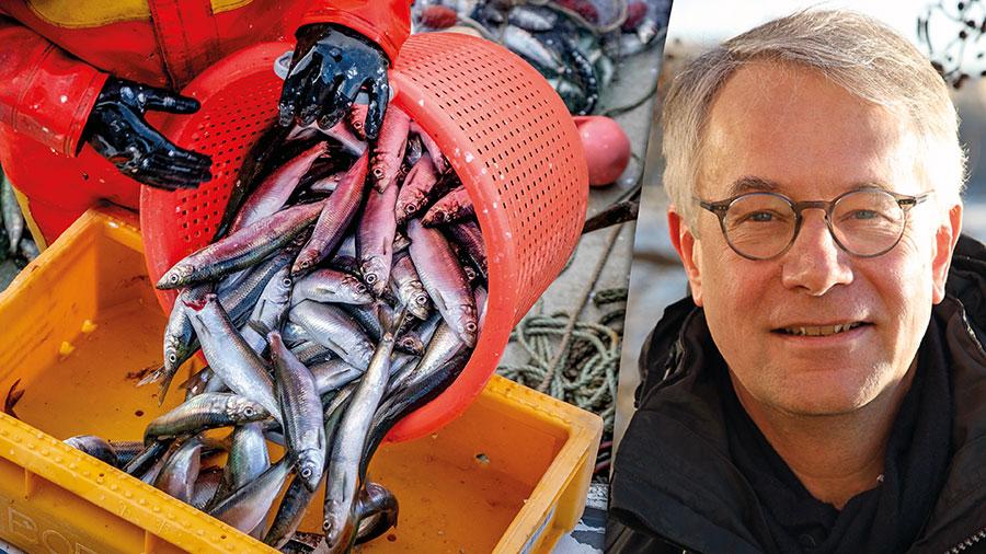 I stället för att gynna det småskaliga kustfisket fångas nästan hela den svenska strömmingskvoten av jättelika industritrålare. Först försvann torsken, inte kan vi väl låta kustens strömming försvinna också? skriver  Sten Frohm.