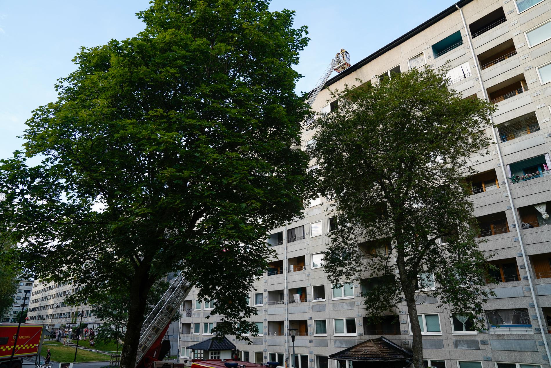 På söndagskvällen började det brinna i ett flerfamiljshus i Hammarkullen i nordöstra Göteborg. Polisen utreder händelsen som grov mordbrand.