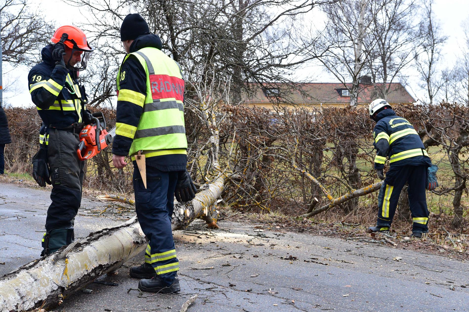 Räddningstjänsten rycker ut och rensar upp efter fallande träd vid Skavsta, Södermanland.