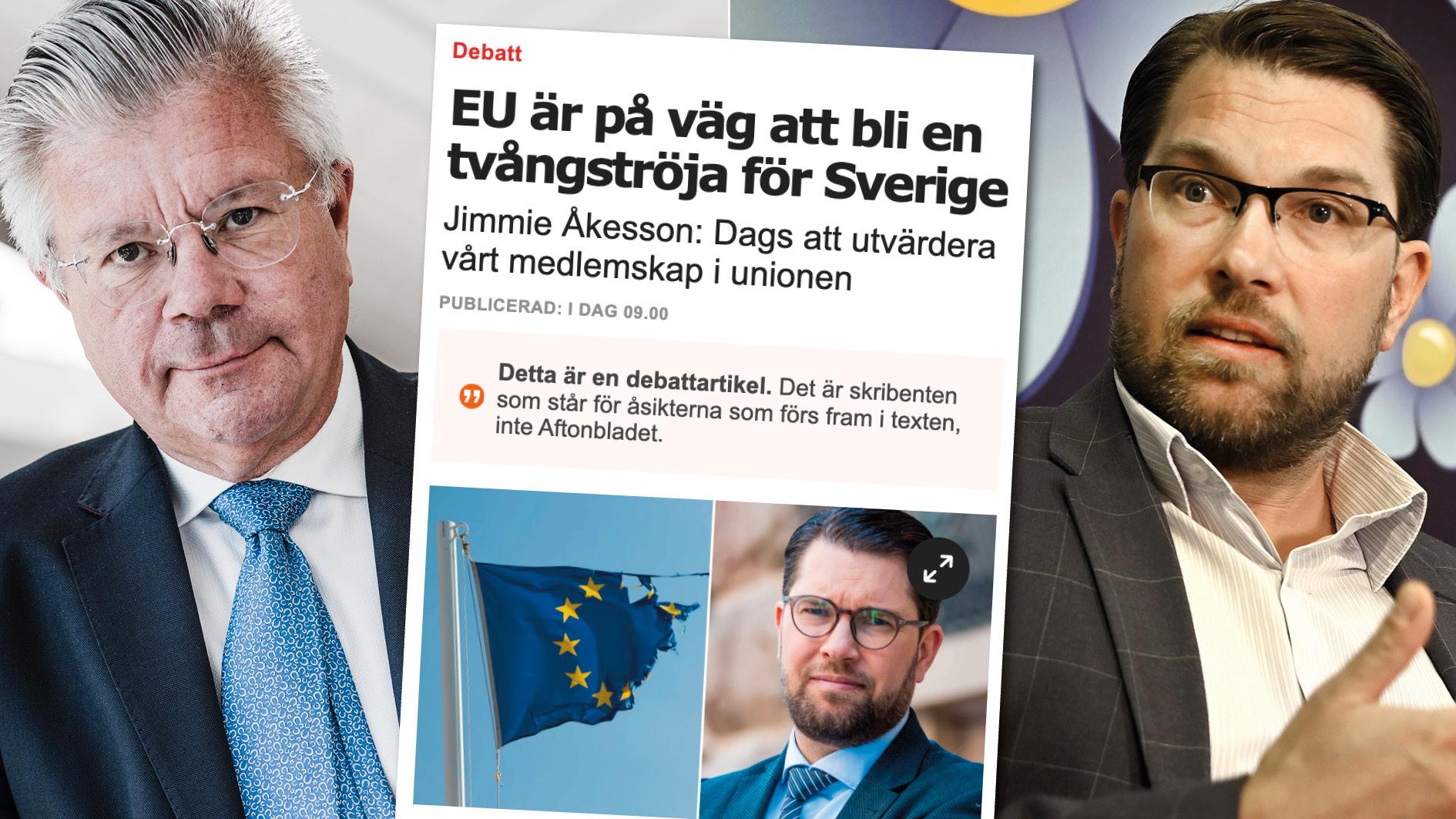 Att bara nämna de negativa sidorna av EU-samarbetet är inget annat än ett försök att konstruera en halmgubbe. Dessutom går Jimmie Åkessons inställning till unionen i otakt med folkviljan. Replik från EU-nämndens ordförande Hans Wallmark.