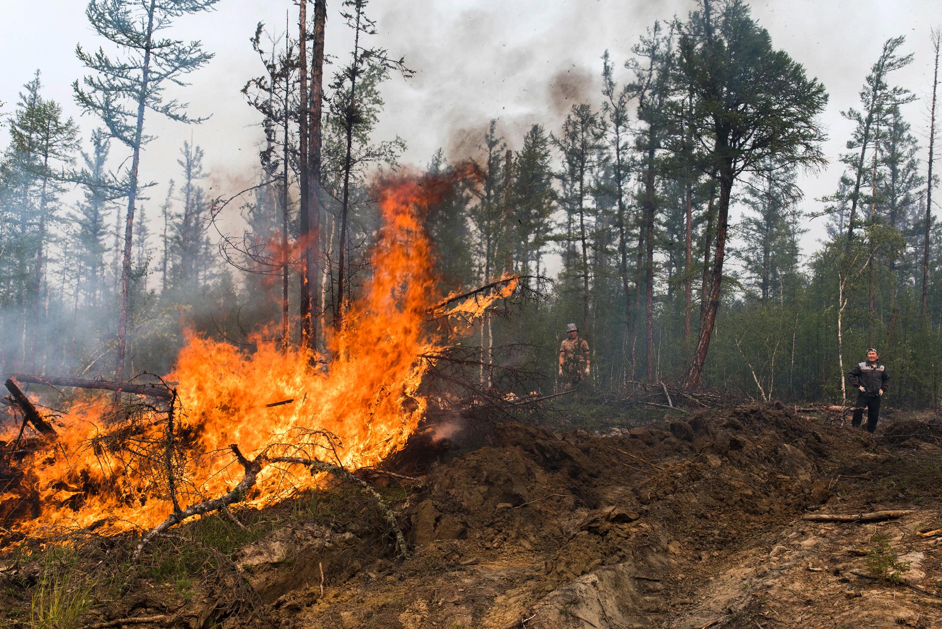 Bränder i skog och mark har orsakat stora problem i Rysslands största delrepublik Jakutien de senaste åren, vilket bland annat beror på klimatförändringarna. Bilden är tagen i Magaras förra sommaren.