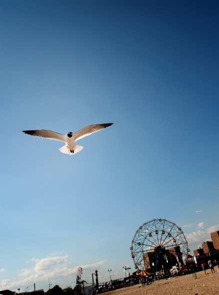 Pariserhjulet är Coney Islands mest berömda landmärke. En gång var det högst i hela världen.