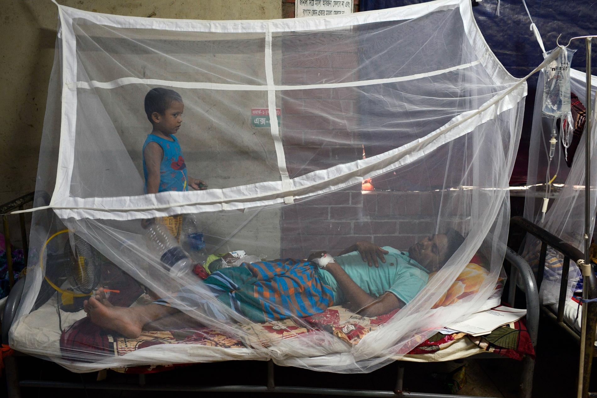 Ett barn står vid sin pappa som behandlas för denguefeber i Dhaka. Arkivbild.