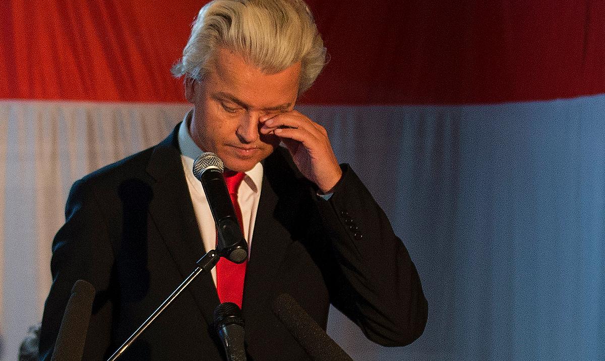 ett katastrofval Geert Wilders högerextrema Frihetsparti, PPV, såg enligt prognoserna sent i går kväll ut att ha gått från 24 ­mandat i det holländska parlamentet till bara 13.