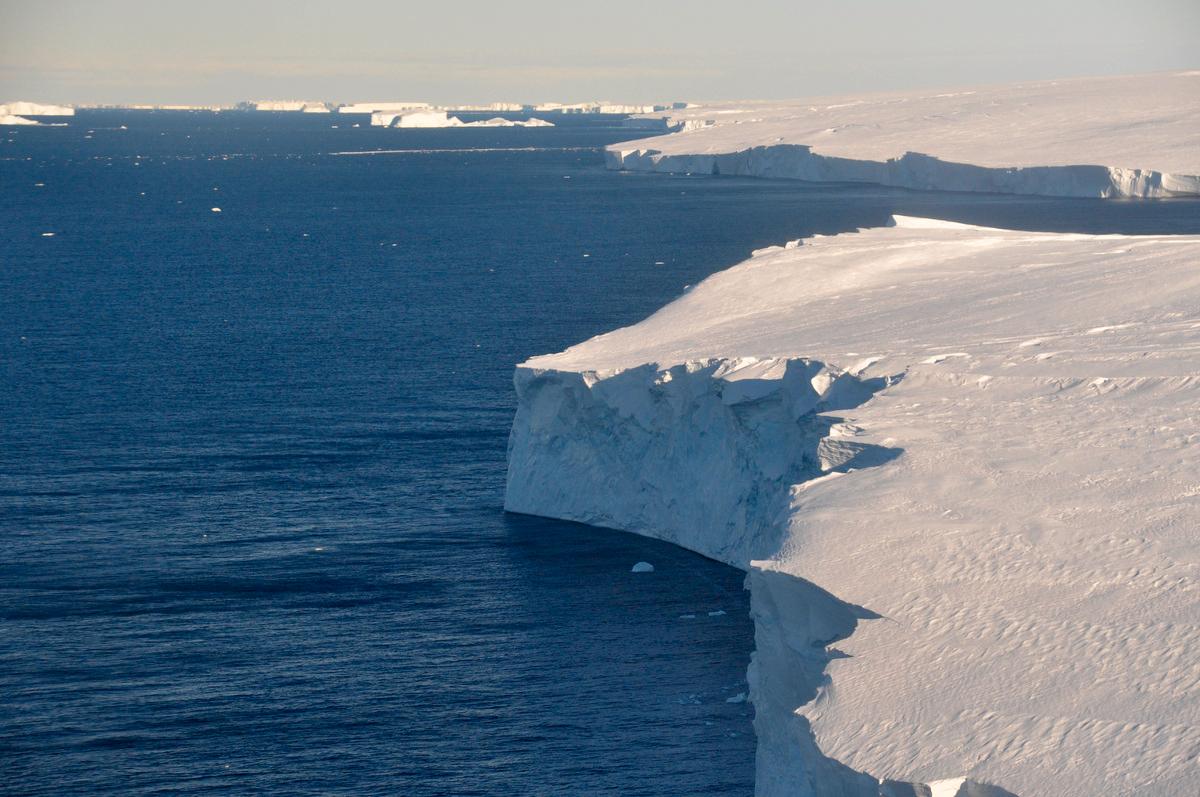 Västra Antarktis är förlorat, enligt en ny studie.