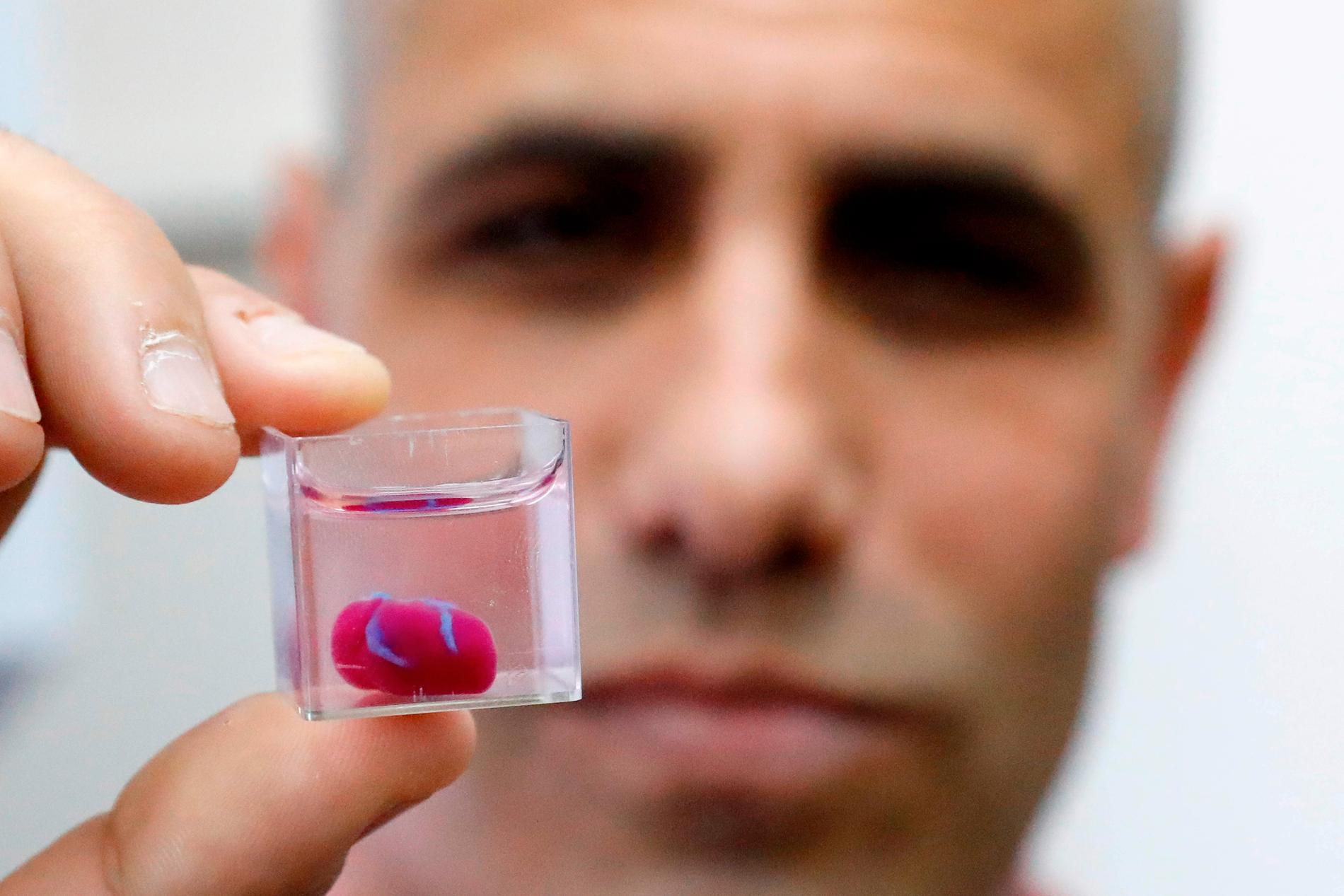 Israeliska professorn Tal Dvir håller upp världens första hjärta som har skapats i en 3D-skrivare. 