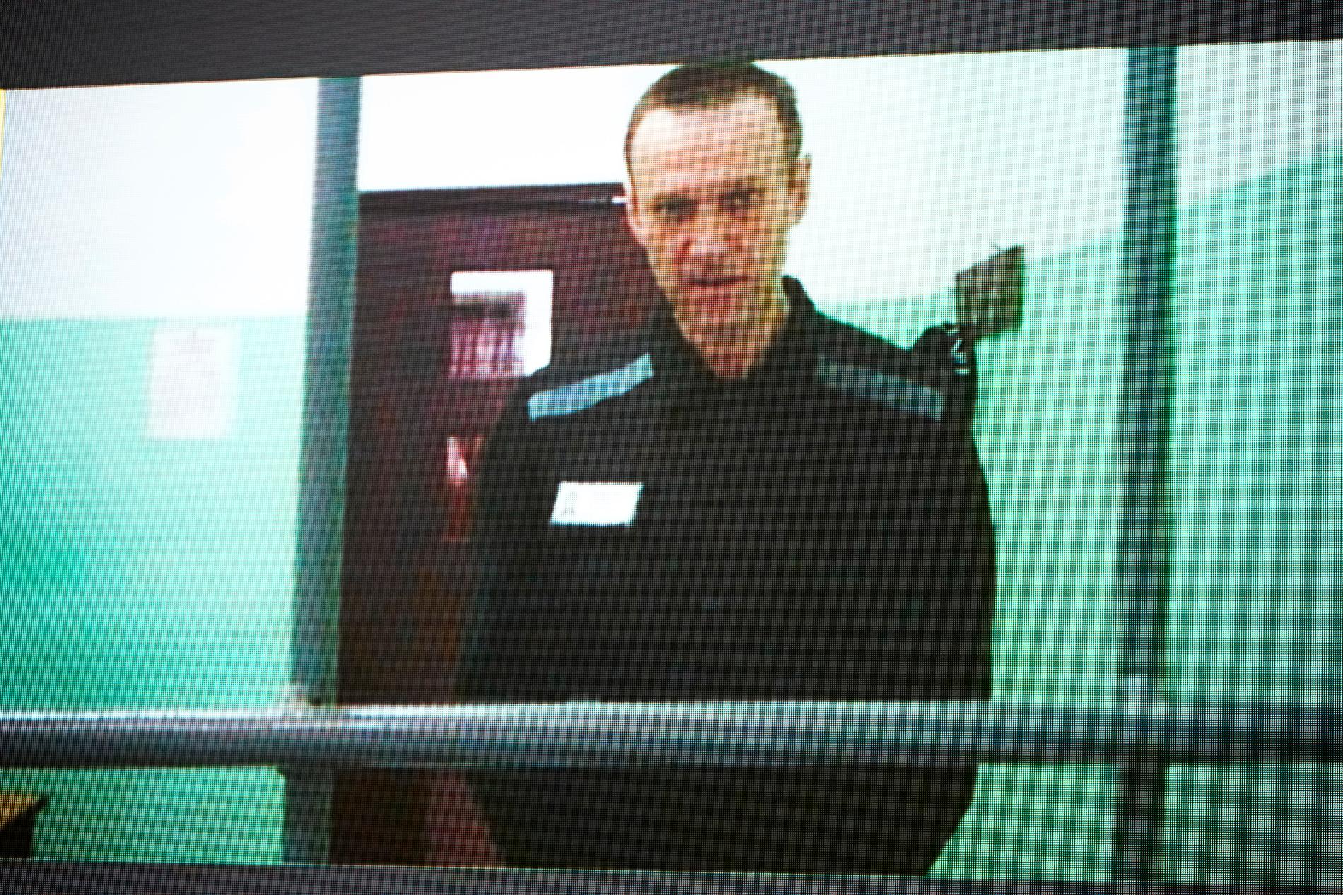 Aleksej Navalnyj i juni under ett förhör över videolänk. Arkivbild.