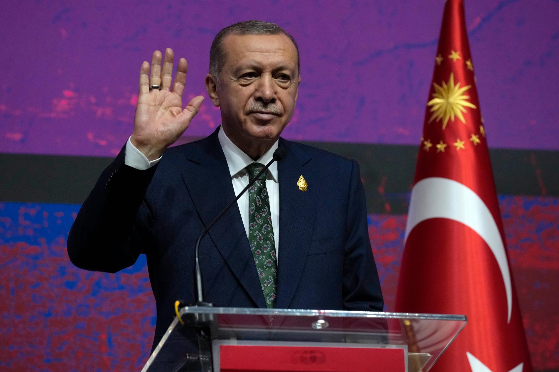 ”Erdogan vill ha garantier för att Turkiet verkligen får köpa planen innan det turkiska parlamentet godkänner Sverige och Finland.”