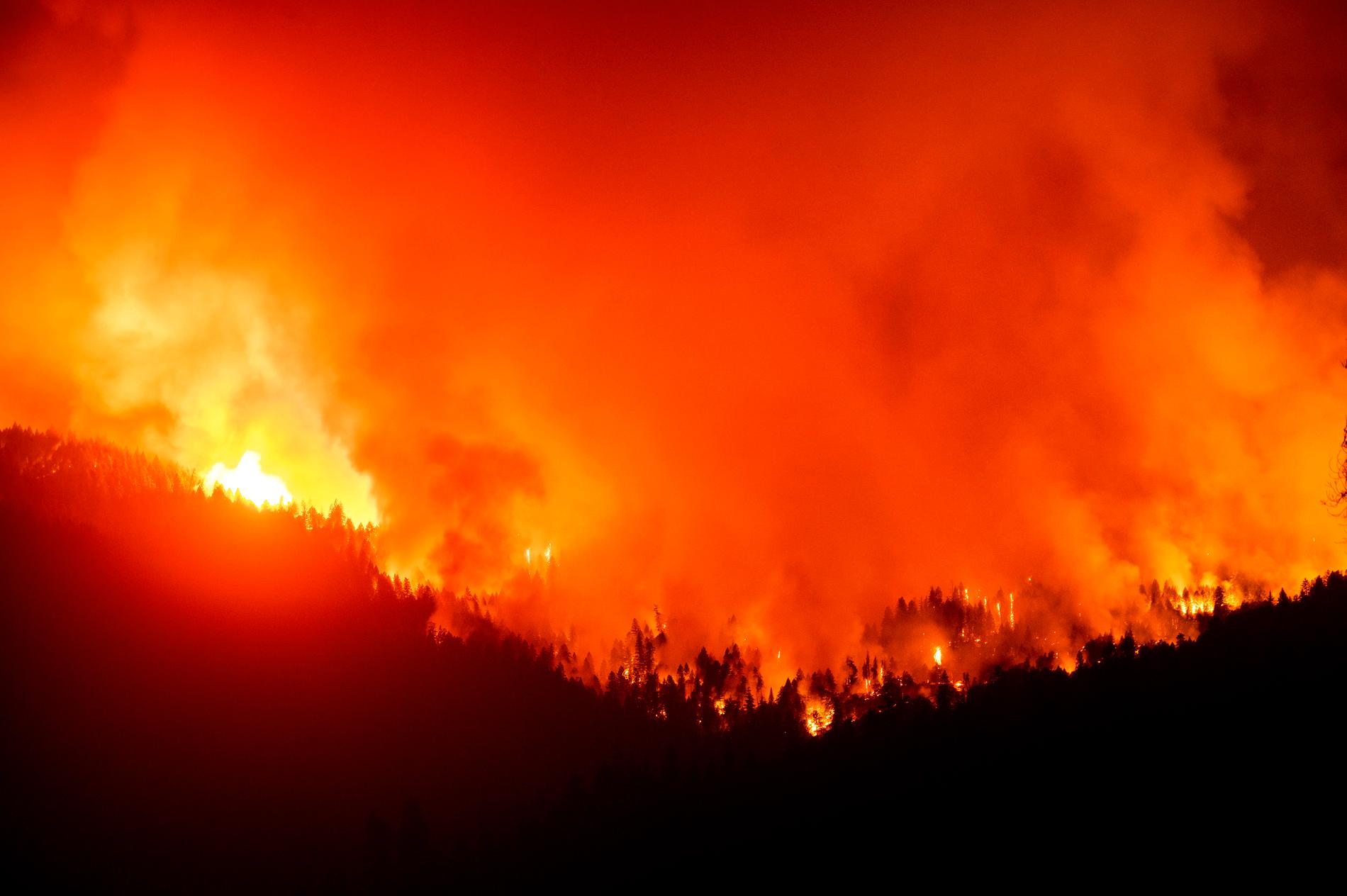 Bränderna i västra USA har härjat nästan två miljoner hektar mark. Arkivbild.