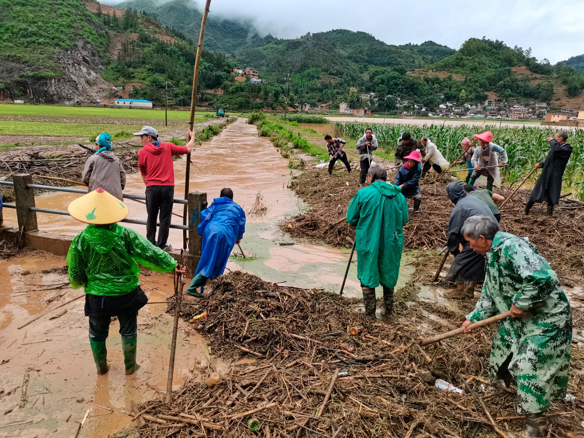 Människor arbetar på ett översvämmat fält i Yunnan-provinsen i sydvästra Kina.