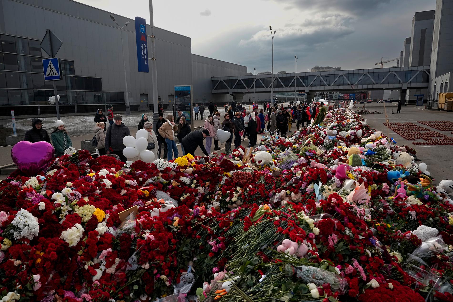 Ett hav av blommor utanför konsertanläggningen Crocus City Hall i Moskvas västra utkant. 139 människor dödades när väpnade personer sköt urskillningslöst bland konsertbesökare och satte byggnaden i brand.