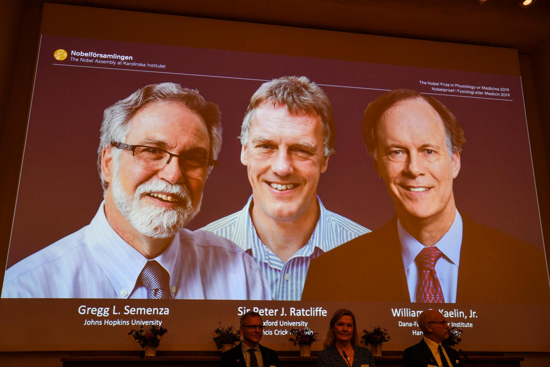 Årets Nobelpris går till Gregg L. Semenza, Sir Peter J. Ratcliffe och William G. Kaelinför sin forskning om celler.