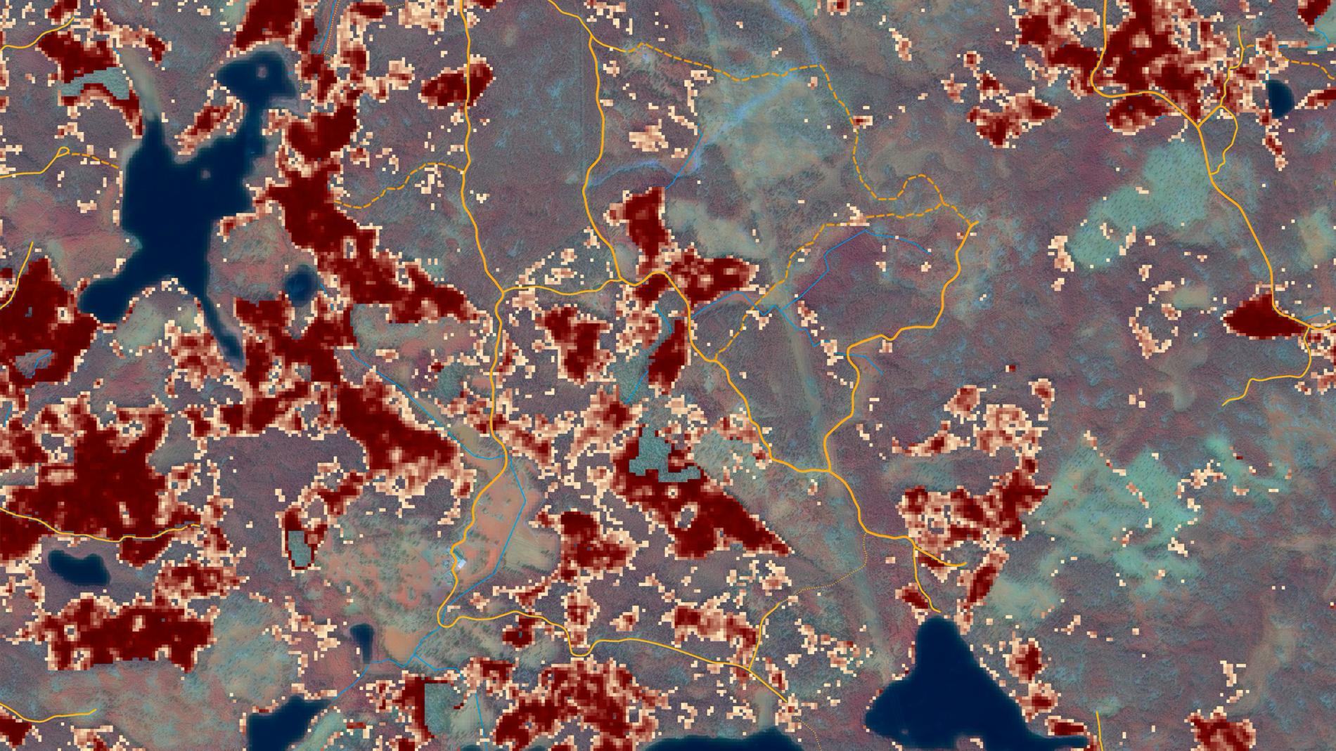 Skogsstyrelsens riksindexkarta som visar vilka områden som är i riskzonen.