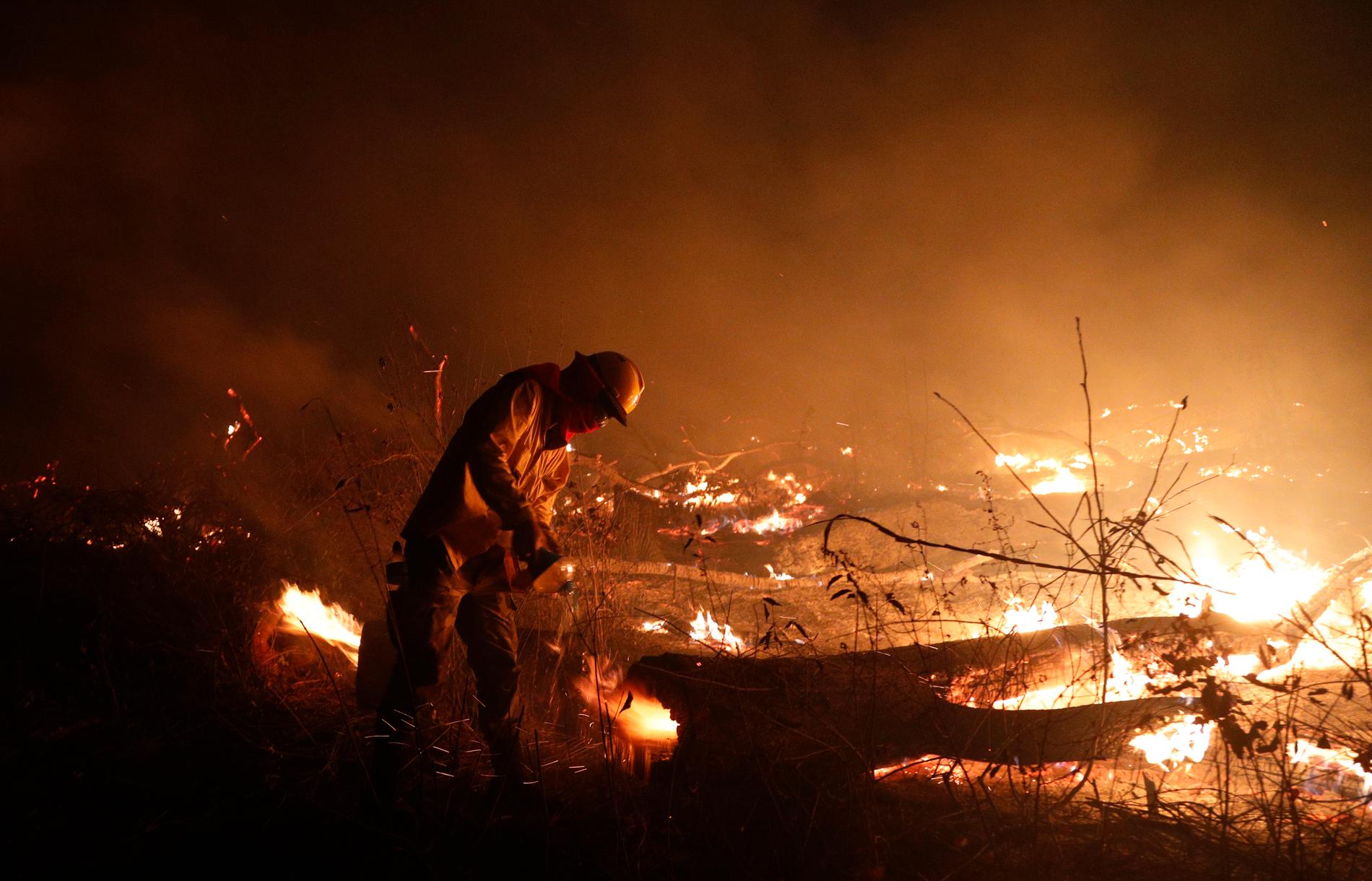 En brandman i en eldhärjad skog i Bolivia.