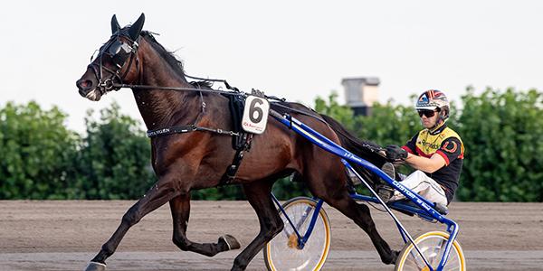 Mats Djuse kör Jan-Olovs hästar på V75. På bilden: Zätamustangen. 