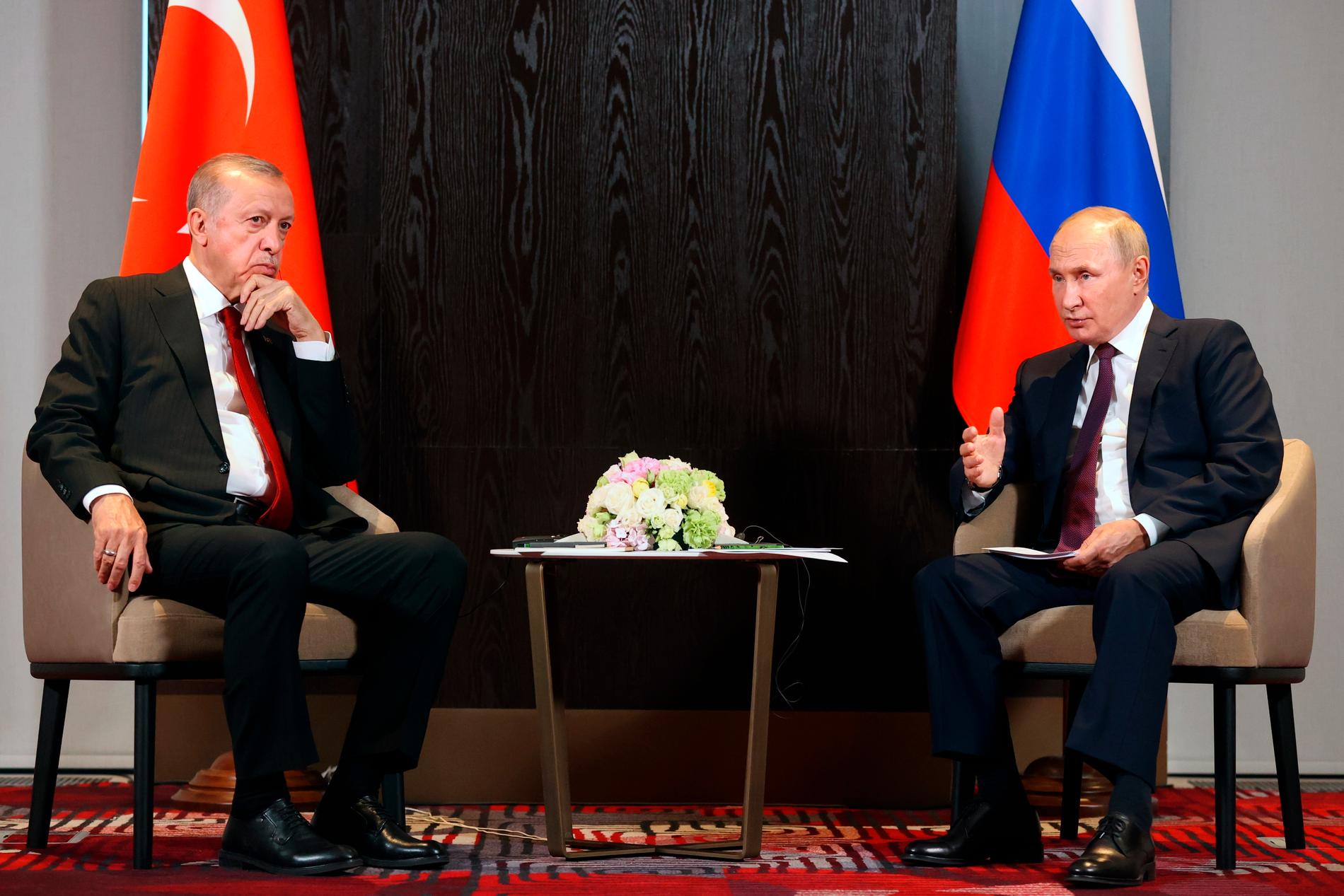 Erdogan och Putin under förra året. 