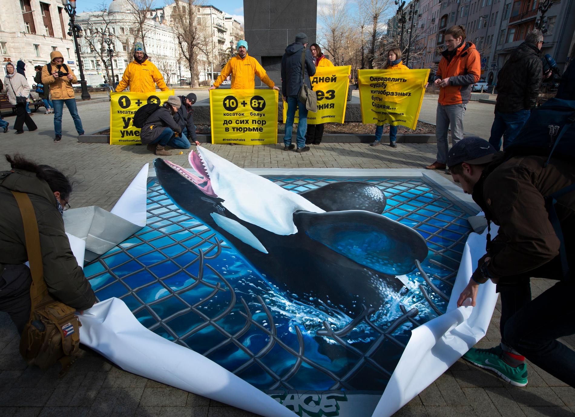 Greenpeace-aktivister i Moskva protesterar mot att hundratalet valar hålls i fångenskap i östra Ryssland. Arkivbild från 2 april 2019.